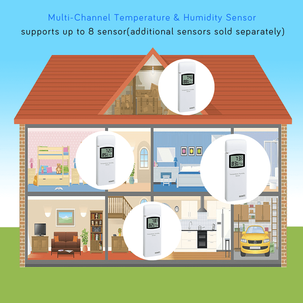 Professional Weather Products | Smart Home Product – Ecowitt
