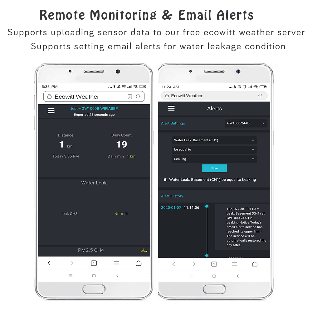 Professional Weather Products Smart Home Product Ecowitt