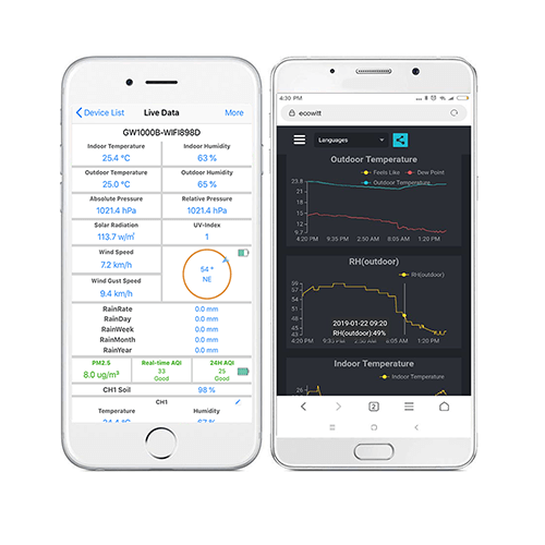 Professional Weather Products Smart Home Product Ecowitt